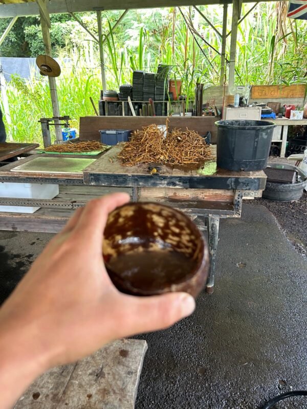 Kava Tincture - Image 6